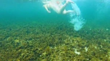 Snorkeller Batı Avustralya 'daki Rottnest Adası etrafındaki resifleri keşfediyor..