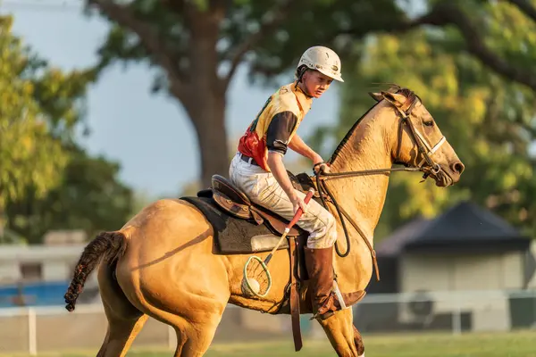 stock image Darwin, Australia - 27 July 2024: polocrosse game at the 2024 Royal Darwin Show.