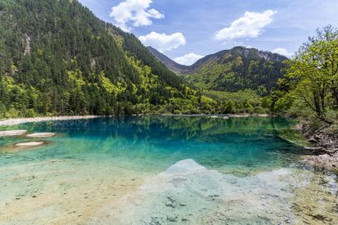 Jiuzhaigou Ulusal Parkı, Sichuan, Çin 'deki çarpıcı mavi göl..