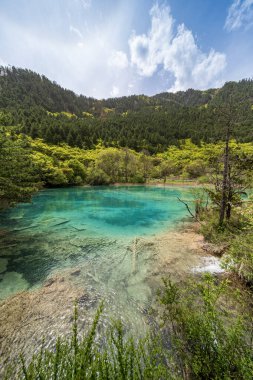 Jiuzhaigou Ulusal Parkı, Sichuan, Çin 'de Double Dragon Gölü (Shuanglong Gölü).