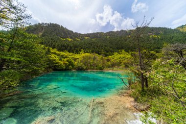 Jiuzhaigou Ulusal Parkı, Sichuan, Çin 'de Double Dragon Gölü (Shuanglong Gölü).