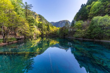 Jiuzhai Vadisi Ulusal Parkı 'nda Beş Çiçek Gölü, Sichuan, Çin.