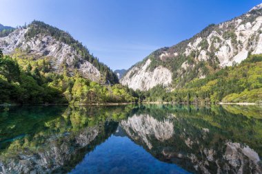 Jiuzhai Vadisi Ulusal Parkı 'nda Beş Çiçek Gölü, Sichuan, Çin.