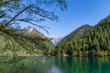 Jiuzhai Vadisi Ulusal Parkı 'ndaki Ayna Gölü, Sichuan, Çin.