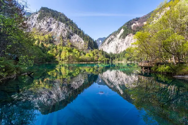 Jiuzhai Vadisi Ulusal Parkı 'nda Beş Çiçek Gölü, Sichuan, Çin.