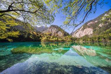 Jiuzhai Vadisi Ulusal Parkı 'nda Beş Çiçek Gölü, Sichuan, Çin.