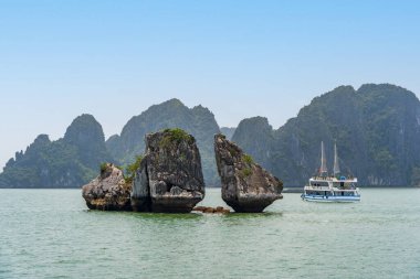 Dövüş Horozları nam-ı diğer Trong Mai veya Ga Choi İslets in Ha Long Bay, Quang Ninh, Vietnam.