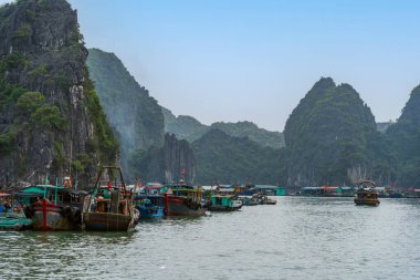 Lan Ha Bay 'de Cai Beo yüzen köyü, Hai Phong, Vietnam