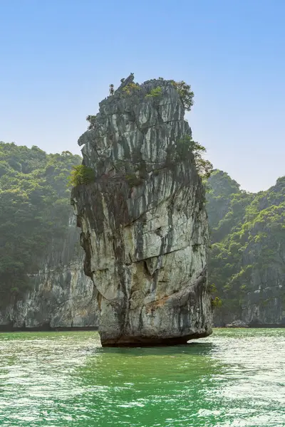Kireçtaşı Adası, Lan Ha Körfezi, Vietnam..