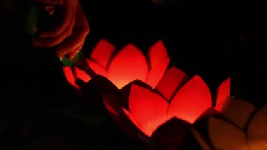 2024 Vietnam Fener Festivali 'nde yüzen nilüfer fenerleri, Darwin Rıhtımı, Kuzey Bölgesi.