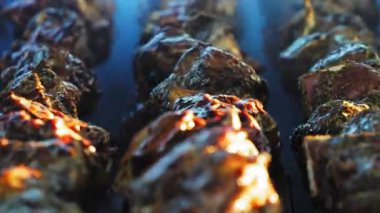 Darwin 'deki Yunan Glenti festivalinde Lamb souvlaki ızgarası.