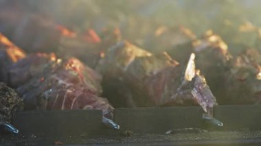 Darwin 'deki Yunan Glenti festivalinde Lamb souvlaki ızgarası.