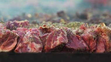 Darwin 'deki Yunan Glenti festivalinde Lamb souvlaki ızgarası.