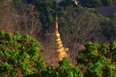 Altın Buda heykeli ve pagoda ormanın içinde ve Tayland 'ın kuzeyindeki dağda yer almaktadır.
