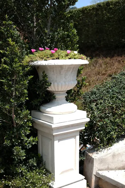 Белая Классическая Мраморная Статуя Римлянина Украшенная Саду Цветов — стоковое фото