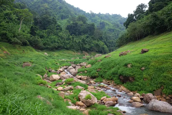 Taze su manzarası ve tropikal yağmur ormanları ve yeşil vahşi ormanlardaki kayaların arasından akan dereler. Nakhonnayok, Tayland 'da Khao Chong Lom.