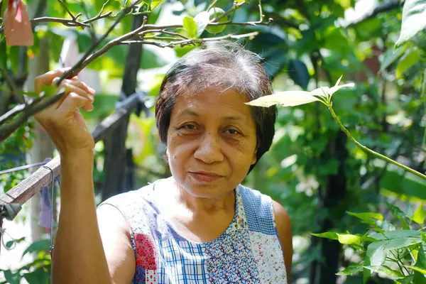 Asian elderly senior woman is smiling  for gardening with plants and organic fresh harvested vegetables in garden at house. Elderly and healthy in retirement concept