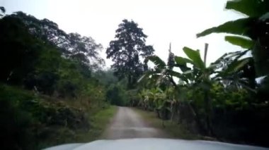 Tayland 'daki orman yağmur ormanları ve dağlık yolda araba kullanmak. Seyahat ve özgürlük yolculuğu kavramını oku