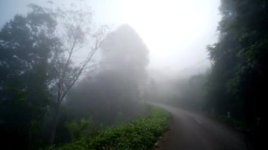 Ormanda dağdaki kır yolunda ve Tayland 'daki yağmur ormanlarında araba sürmek. Yolculuk ve özgürlük yolculuğu konsepti. Yumuşak ve bulanık odak