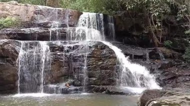 Taze şelale Tayland 'daki tropikal yağmur ormanlarında taşların üzerinde akıyor.