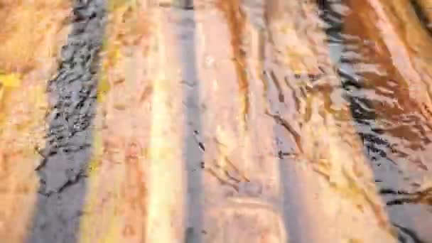 Riak Air Pada Rakit Bambu Untuk Melakukan Perjalanan Hutan Tropis — Stok Video