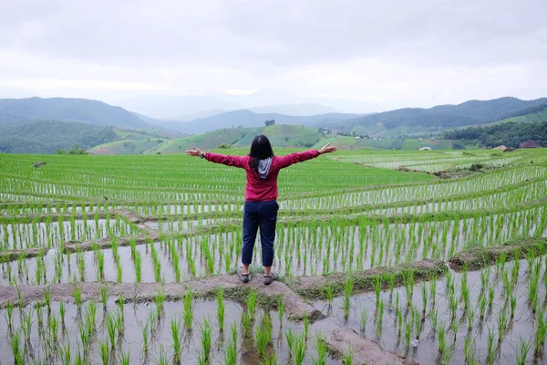 Asian woman is freedom and happy on terraced Paddy rice fields on mountain in the countryside, Chiangmai Province of Thailand. People for travel in greenery tropical rainy season concept