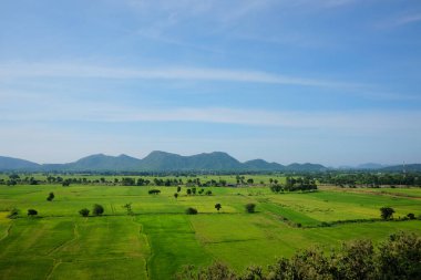 Tayland 'daki dağ ve yeşillik çeltik tarlası manzarası