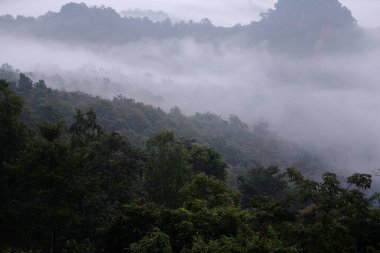 Güneşin doğuşu sabah sisli ve sisli olacak. Dağlık vadide doğal ve tropikal yağmur ormanlarında seyahat edilecek.