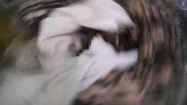 Çamaşır odasındaki çamaşır makinesinde döndürmek için deterjan köpük ve kumaş yumuşatıcısıyla yıkılıyor.