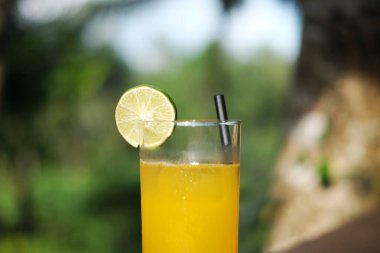 Bir bardak taze buz portakal suyu limon ve güneş ışığı ve tropikal bahçe.