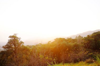 Tayland 'daki dağda güzel bir gün doğumu.