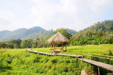 Kuru sazdan çatılı ahşap pavyon ve sıcak günbatımında bambu köprüsü ve çeltik pirinç tarlaları ile kır çiçeği ve Tayland vadisi dağı.