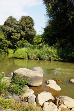 Tayland 'ın Chiangmai bölgesindeki doğal tropikal yağmur ormanlarında taze akarsu ve şelalede kayalar.