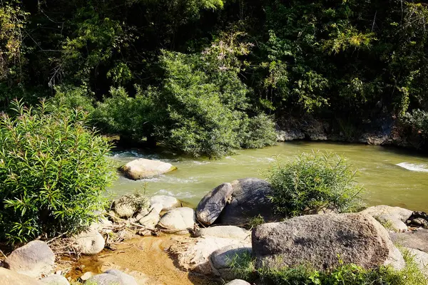 Tayland 'ın Chiangmai bölgesindeki doğal tropikal yağmur ormanlarında taze akarsu ve şelalede kayalar.