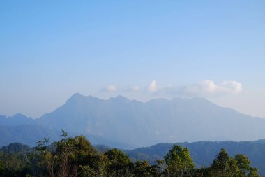 Tayland 'ın Chiangmai şehrinde Doi Luang Chiangdao dağının bulutlu ve mavi gökyüzü manzaralı doğal güneş ışığıyla ilkbahar ormanlarında taze yeşil çimenler. Boşluğu kopyala