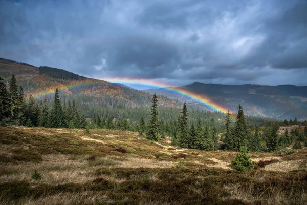 Rainbow in the dark sky over the autumn forest in the mountains.