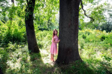 Pembe elbiseli, güneşli bir ormanda ve arka planda muhteşem görünümlü bir kız. Seçici odaklanma. Bulanık arkaplan.