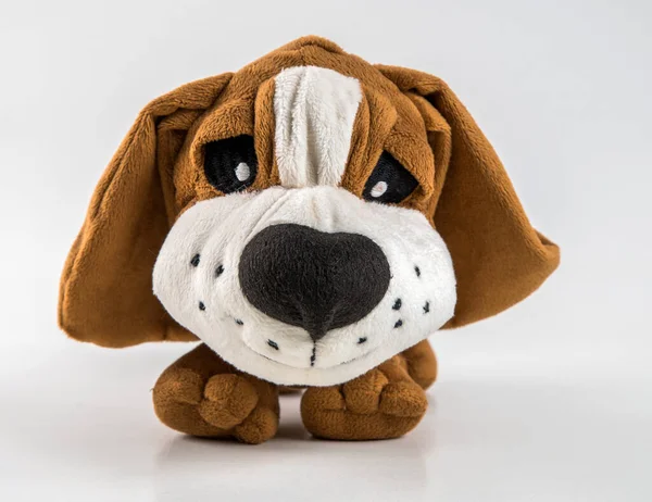 Dog muzzle of a soft children's toy on a white background.