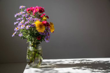 Bir buket çok renkli kasımpatı güneşte.