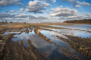 Spring very wet agricultural field with puddles of water due to rain and melting snow.