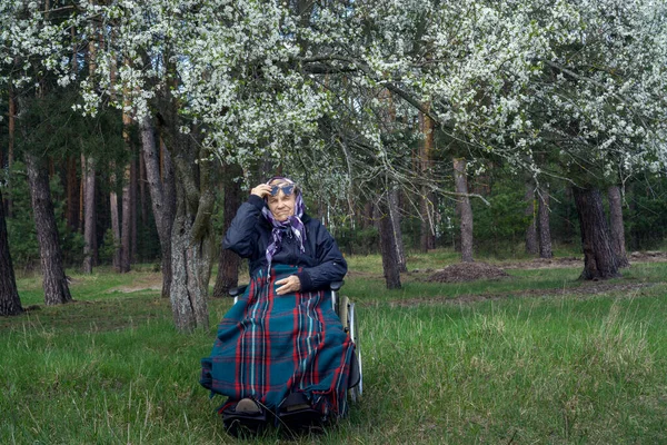 Una Anciana Solitaria Cochecito Envuelta Una Manta Caliente Bajo Árbol —  Fotos de Stock