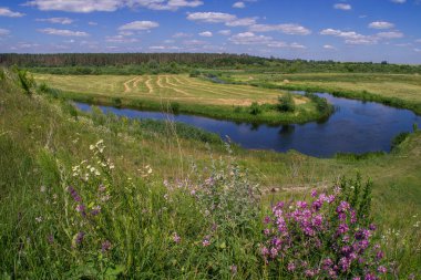 Yaz manzarası kıvrımlı bir kanallı bir nehir taşkın ovası.