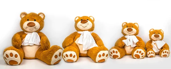 Gruppo Peluche Orsi Sfondo Bianco — Foto Stock