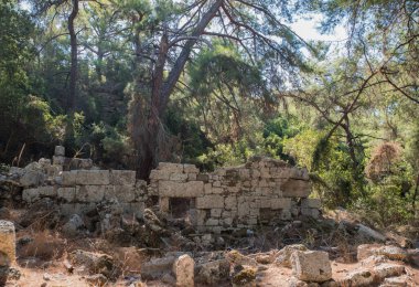 Tekirova, Türkiye 9 Eylül 2020 Eski Greko-Roma kenti Phaselis 'in kalıntıları ormanla kaplandı.