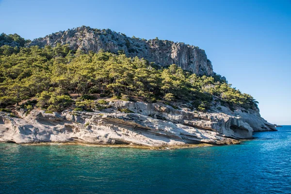 stock image Rocky seashore with grottoes, overgrown with pines