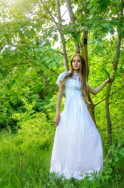 太陽の光線の中の明るい森の長い透明な白いドレスを着た少女 ソフトフォーカス — ストック写真
