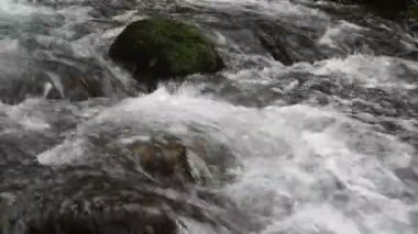 Dağ nehrinde köpüklü su akıntısı.