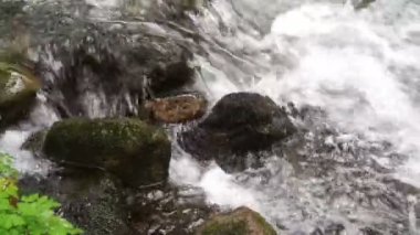 Dağlarda akan hızlı bir nehir ıslak kayaları siler..