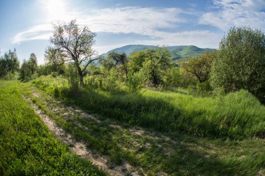 Dağlardaki Toprak Yol