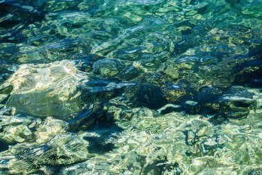 Deniz suyunun dokusu. Suda ışık refleksleri.